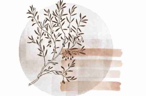 糖心vlog的私密照片被流出：糖心资源是真是假？