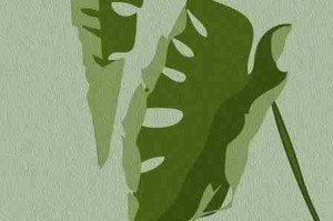 注册使用海角官网的完整流程 - 新手指南，海角科技有限公司