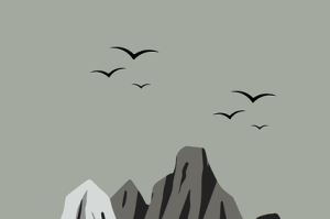 黑料网私域流量转化路径：跨平台推广与渠道联动