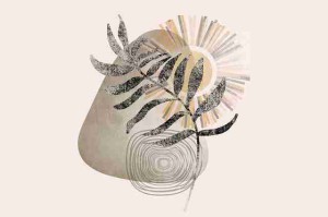 黑料网用户留存与复购秘籍：高频活动节奏规划秘笈