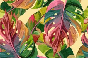 aaa永久在线观看资源更新速度评测｜多平台使用教程，aaa!