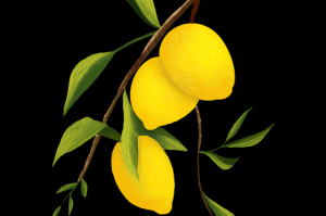 欧美一区二区三区影迷必追剧集盘点｜影迷社区推荐，欧美一首