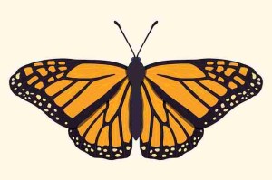 国产探花品牌合作模式全揭秘｜行业报告发布，全国探花视频在哪看