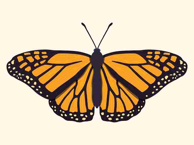 国产探花品牌合作模式全揭秘|行业报告发布,全国探花视频在哪看