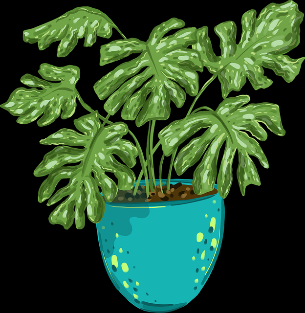 揭秘国产探花平台内容运营机制 - 成长指南，全国探花用的app是什么