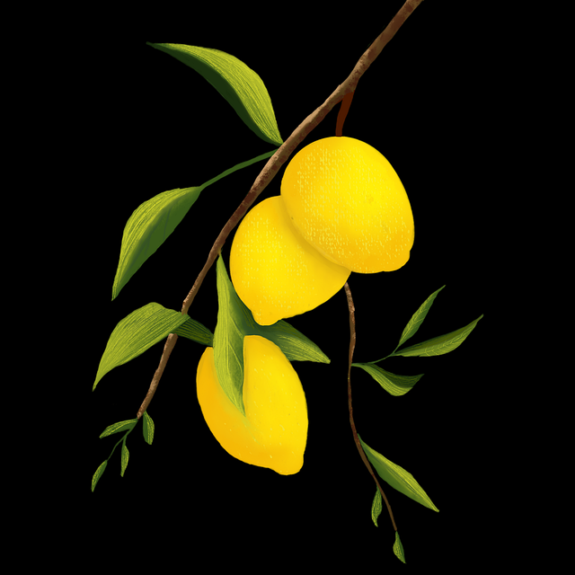 每日大赛历届冠军精彩回顾|趋势前瞻,每日赛事报告