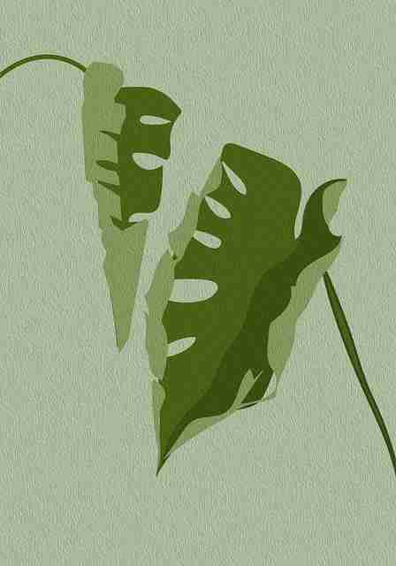 国产自产 1区2区 c社交推广运营攻略|趋势分析,国产区_1